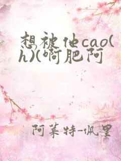 想被他cao(h)(啊肥阿