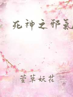 死神之邪气一护