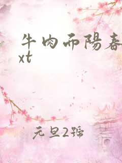 牛肉面阳春面txt