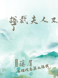 总裁夫人又征婚了