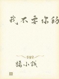 我不要你的承诺