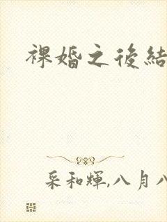 裸婚之后结局