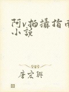 阿v拍摄指南说小说