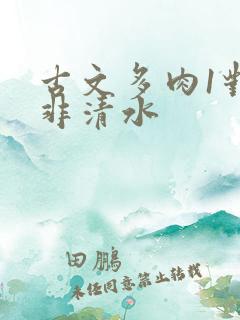 古文多肉1对n非清水