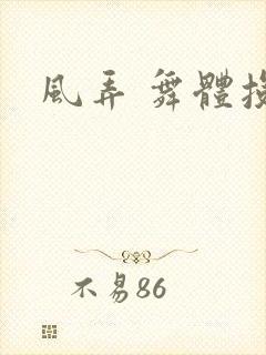 风弄 舞体投递