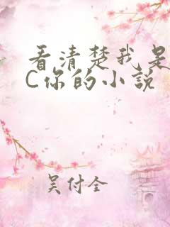 看清楚我是怎么C你的小说