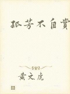 孤芳不自赏小说