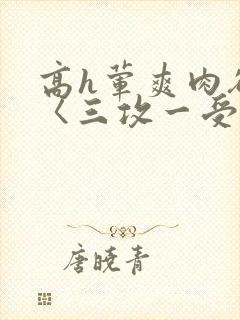高h荤爽肉欲文〈三攻一受〉视频