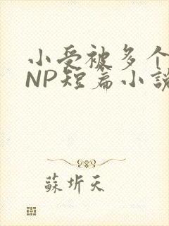小受被多个攻强NP短篇小说