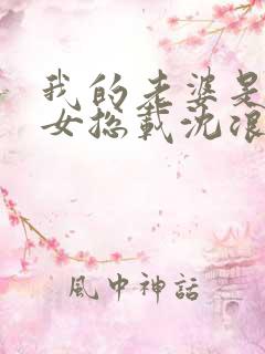 我的老婆是冰山女总载沈浪