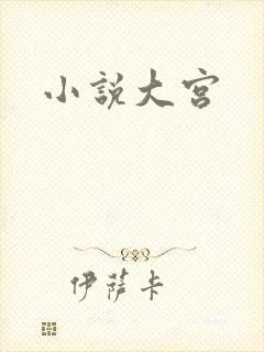 小说大宫