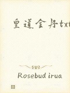 皇道金丹txt