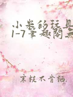 小米的玩具日记1-7笔趣阁无广告