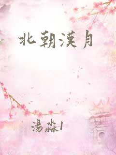 北朝汉月