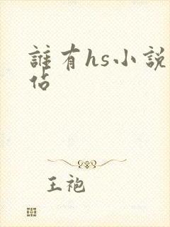谁有hs小说网站