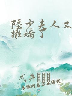 陆少夫人又双叒撒娇了