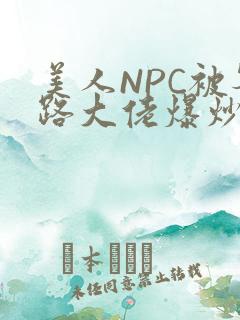 美人NPC被各路大佬爆炒小说