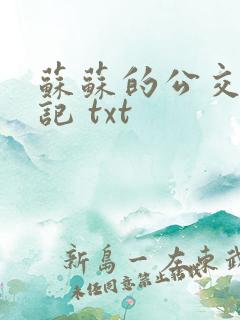 苏苏的公交车日记 txt