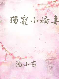 独宠小娇妻