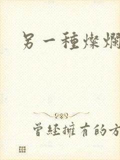 另一种灿烂生活