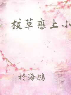 校草恋上小丫头