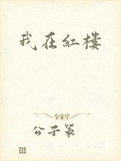 我在红楼