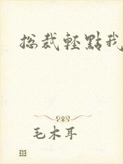 总裁轻点我怕疼