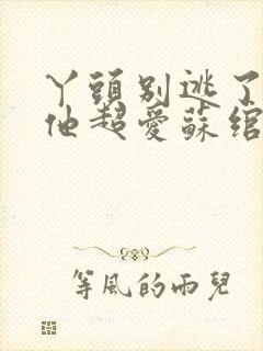 丫头别逃了教授他超爱苏绾谢宴宁