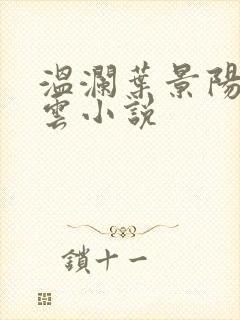 温澜叶景阳温云云小说