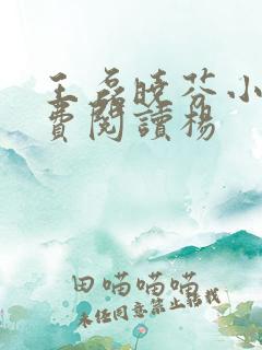 王磊晓芬小说免费阅读杨