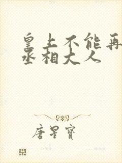 皇上不能再进了丞相大人