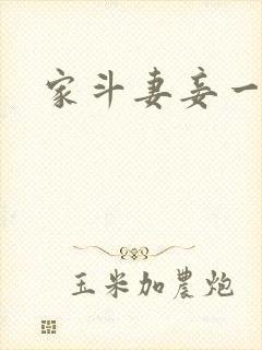 家斗妻妾一家欢