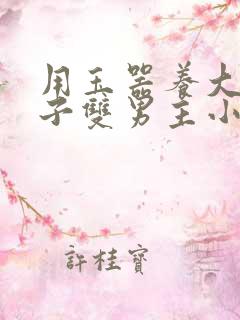 用玉器养大的皇子双男主小说