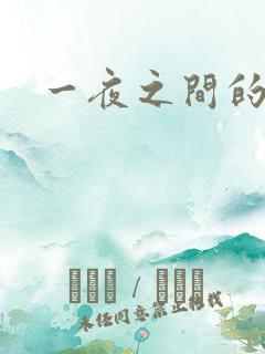 一夜之间的天才