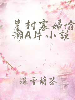 农村寡妇偷人高潮A片小说