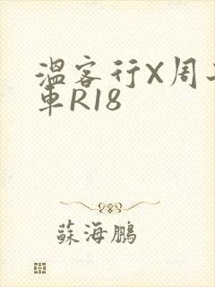 温客行X周子舒车R18
