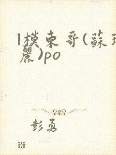 l模东哥(苏玛丽)po