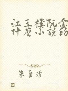 江玉楼阮念笙是什么小说的名字