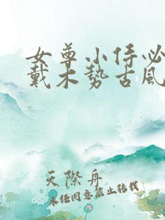 女尊小侍必须佩戴木势古风