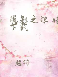 猎影之狼 暗夜下载