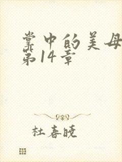 掌中的美母版主第14章