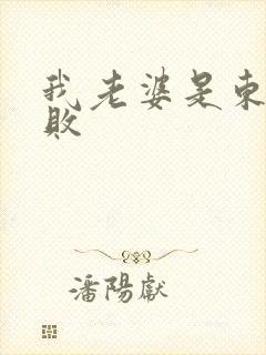 我老婆是东方不败