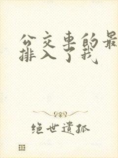 公交车的最后一排入了我