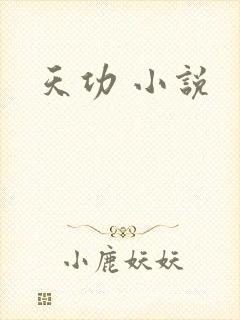 天功 小说