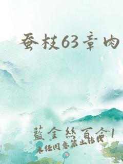 蚕枝63章肉