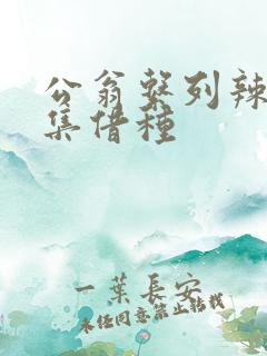 公翁系列辣文全集借种