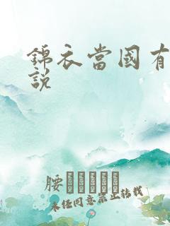 锦衣当国有声小说