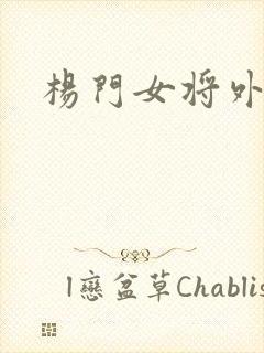 杨门女将外传