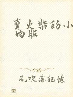 卖火柴的小男孩 肉版