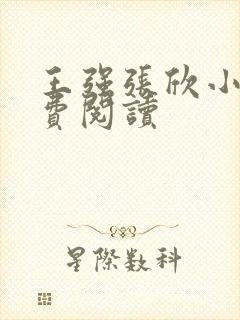 王强张欣小说免费阅读